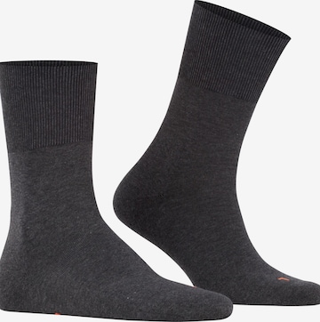 FALKE Socks 'Run' in Grey: front