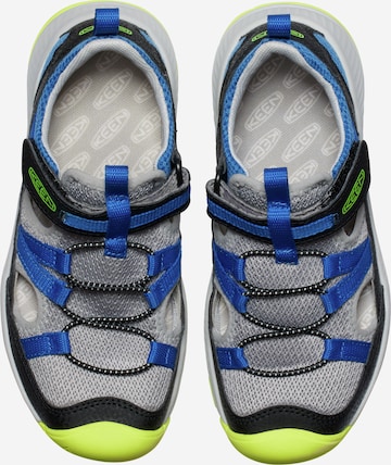 KEEN Open schoenen in Blauw