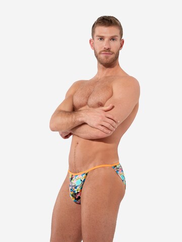 Slip HOM en mélange de couleurs : devant