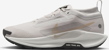 NIKE Running Shoes 'Pegasus Trail 5 Gtx' in Grey: front