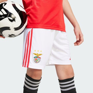 ADIDAS PERFORMANCE Regular Sports trousers 'Benfica Lissabon 25/26' in White