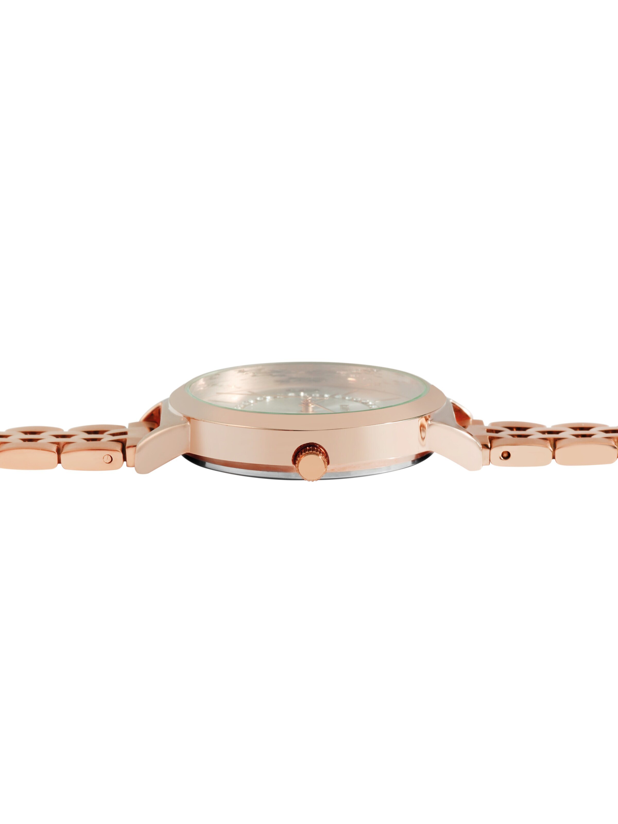 Raptor Analog Watch 'Sara 3 ATM' in Gold