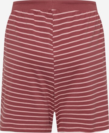 Zizzi Regular Shorts 'DORIT' in Rot