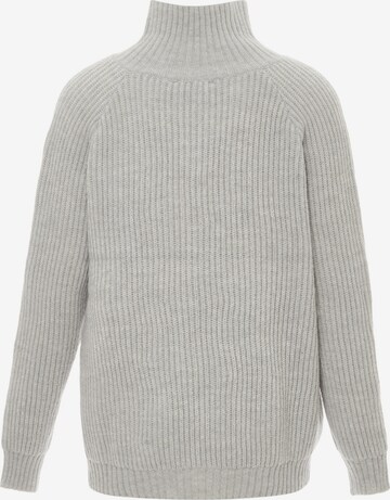 caspio Sweater in Grey