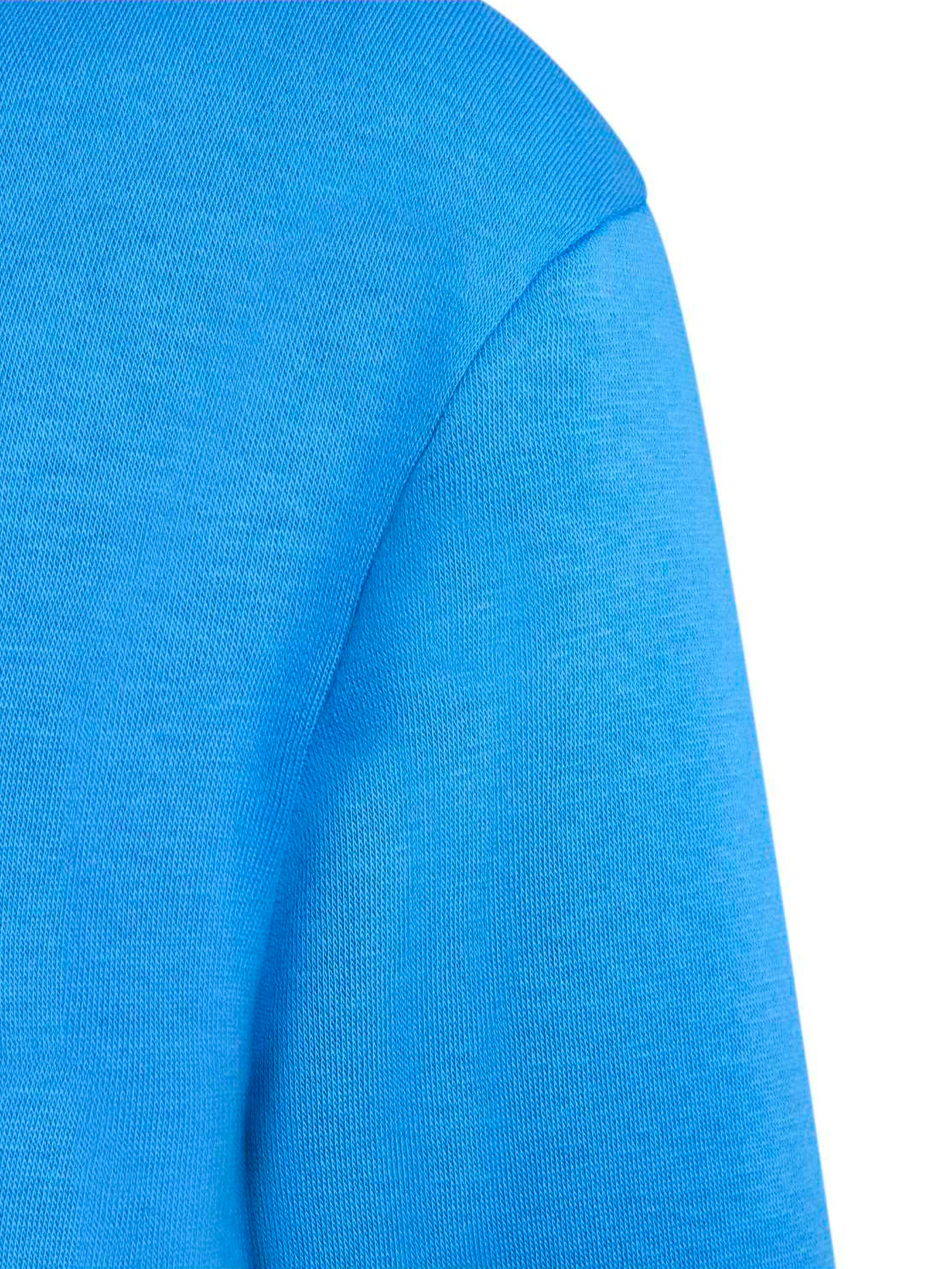 ADIDAS TERREX Urheilullinen collegepaita värissä sininen