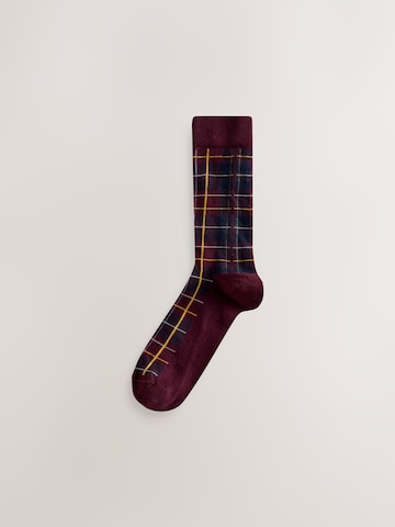 Next Socks in Blue