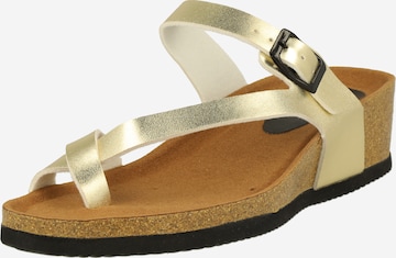 Dorothy Perkins - Chinelos de dedo 'Riley' em ouro: frente