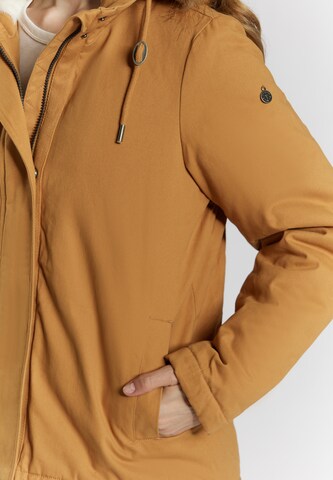 DreiMaster Vintage Зимняя куртка в Коричневый