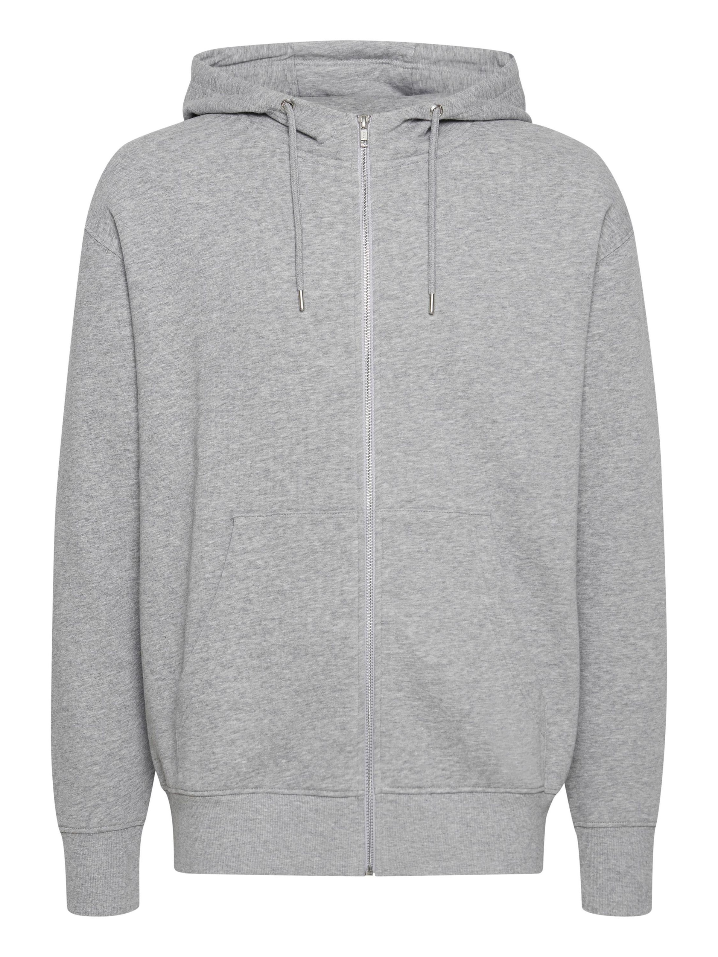 !Solid Zip-Up Hoodie 'SD LENZ' in Grey: front