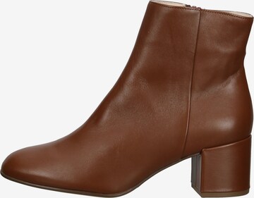 Högl Booties 'Fred' in Brown