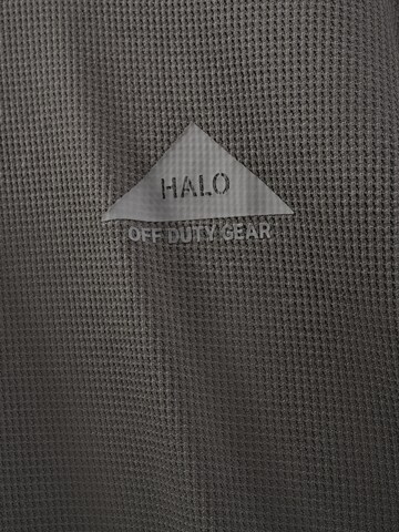 HALO Shirt in Grijs