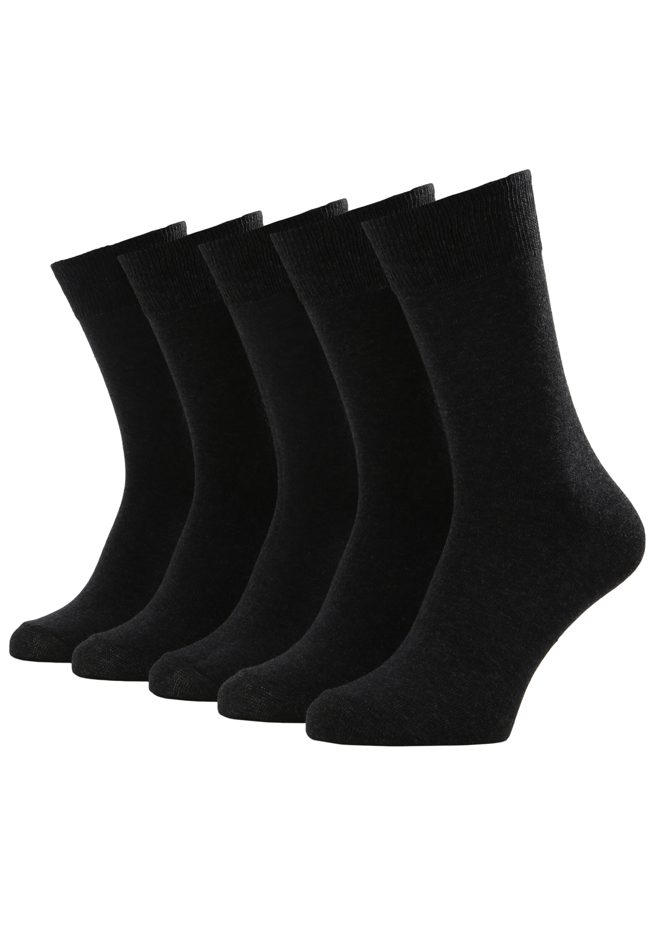 Albert Schäfer Socks in Grey: front