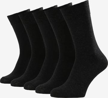 Albert Schäfer Socks in Grey: front