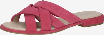 CAPRICE Pantolette in Pink: Vorderseite