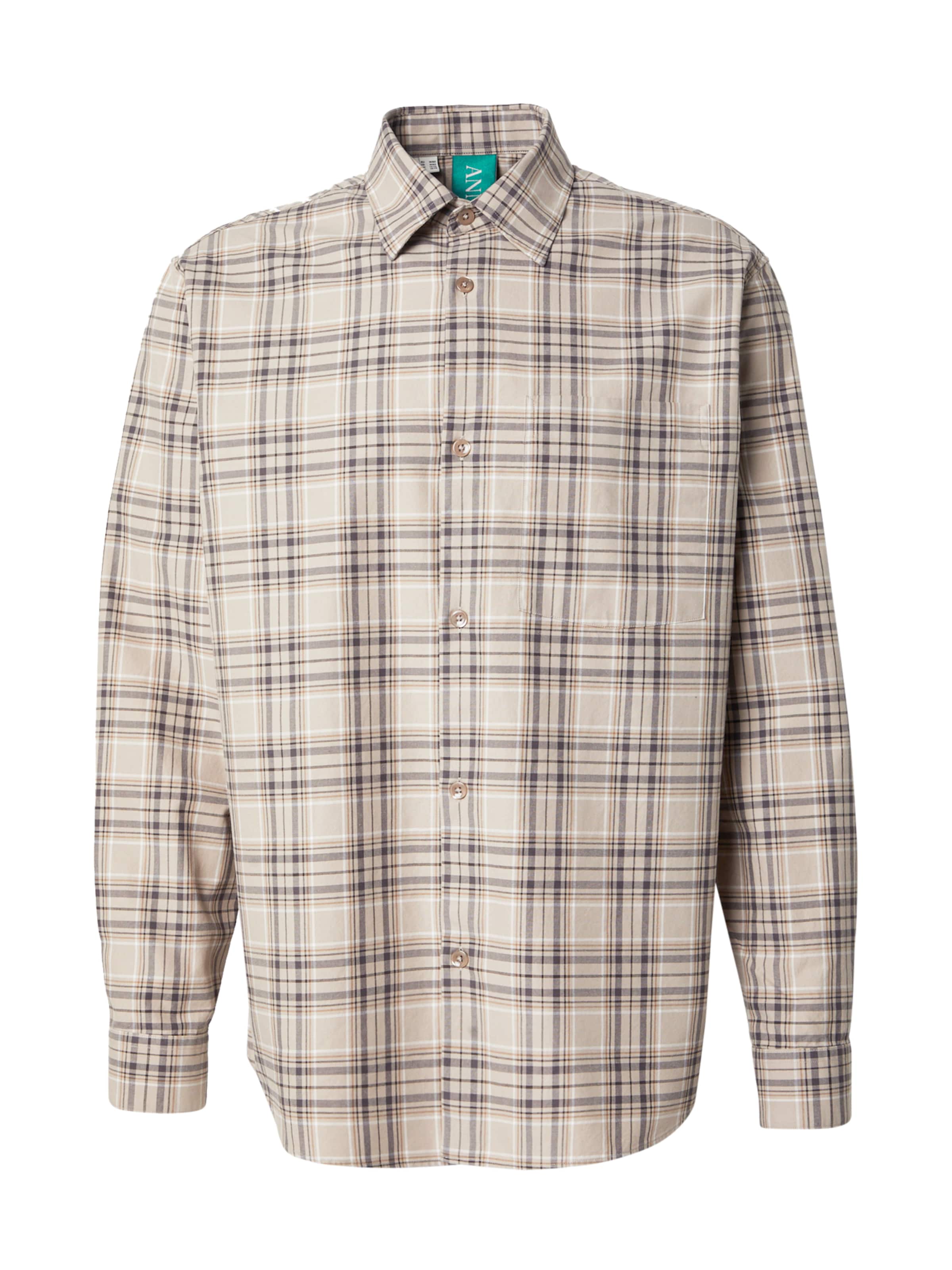 ANNARR Regular fit Button Up Shirt 'ANRASLUND' in Beige: front