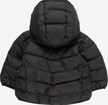 ADIDAS ORIGINALS - Chaqueta de invierno 'Adicolor Down' en negro