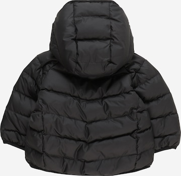 ADIDAS ORIGINALS Zimska jakna 'Adicolor Down' | črna barva
