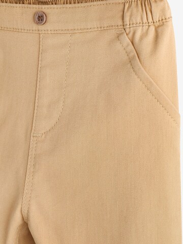 regular Pantaloni di Next in marrone