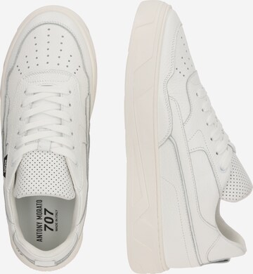 Baskets basses ANTONY MORATO en blanc