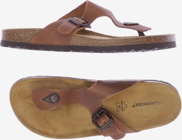 SALAMANDER Sandals & High-Heeled Sandals in 40 in Brown: front
