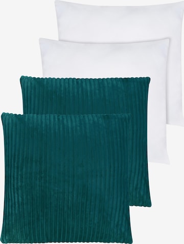 Coussins Aspero en bleu : devant