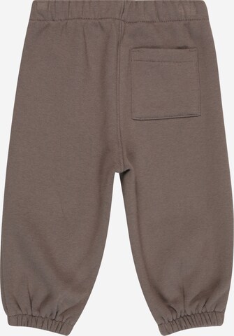 GAP Tapered Pants in Brown