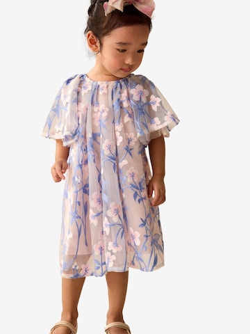 Next Jurk in Roze: voorkant