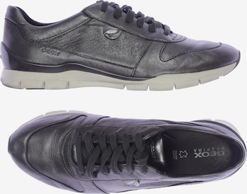 GEOX Sneaker 39 in Grau: predná strana