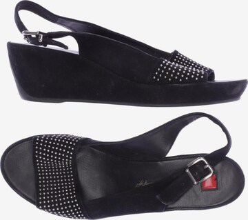 Högl Sandals & High-Heeled Sandals in 40,5 in Black: front
