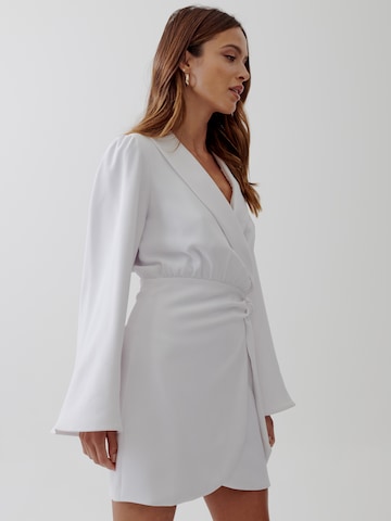 Tussah Dress in White: back