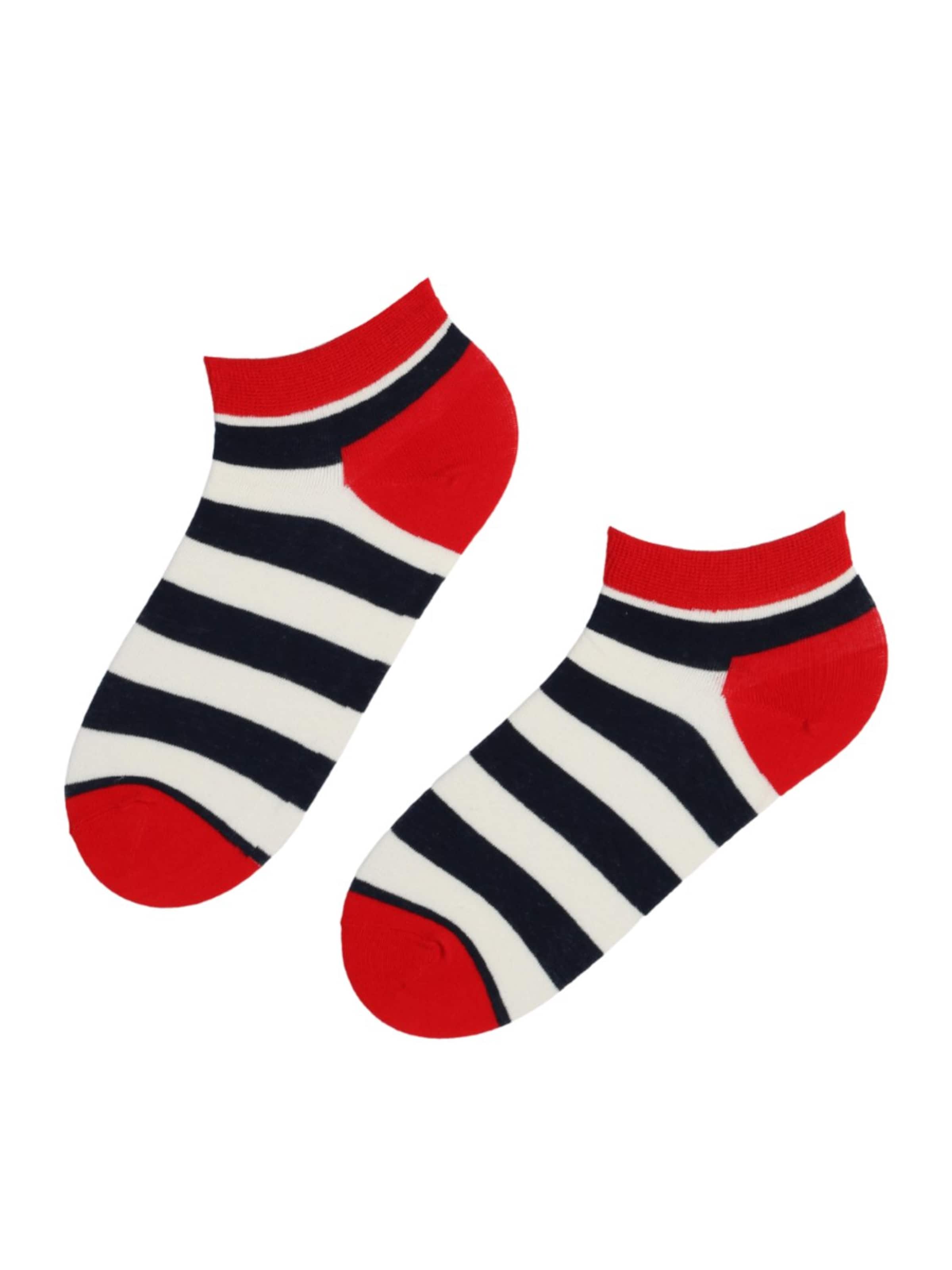 Chaussettes 'MISSISSIPPI' Sokisahtel en mélange de couleurs : devant