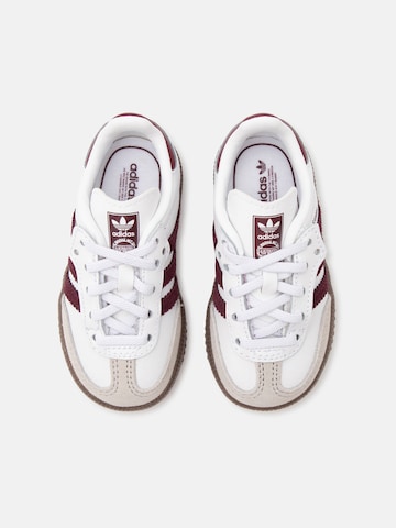 ADIDAS ORIGINALS Sneakers 'SAMBA' in Wit