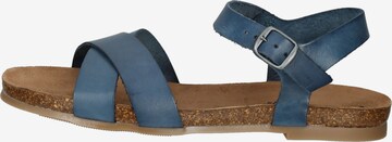 Sandalo di COSMOS COMFORT in blu