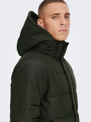 Manteau d’hiver 'CARL' Only & Sons en vert