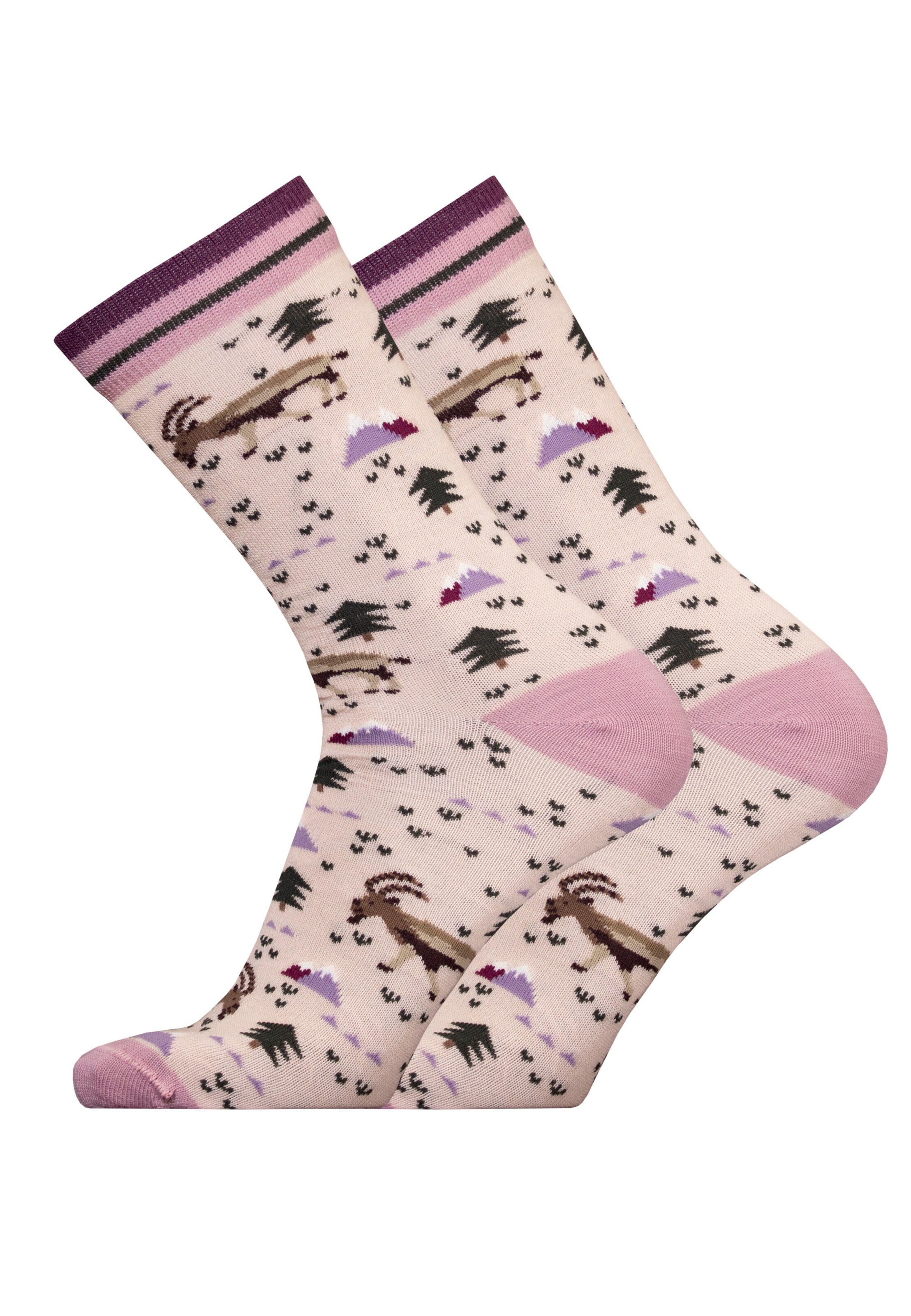 UphillSport Socken 'IBEX' in Lila: Vorderseite
