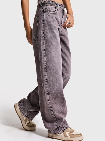 IT'S BASIC Loosefit Jeans 'Skater Mid Rise Jeans' in Bruin