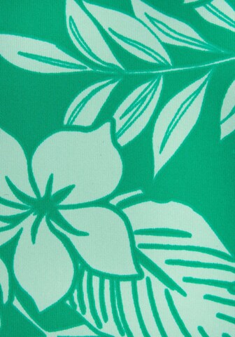 Bustier Hauts de bikini VENICE BEACH en vert