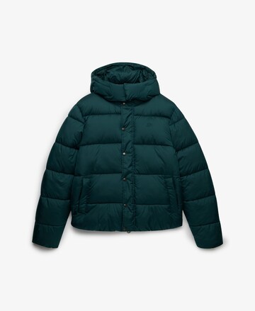 Superdry & Co Winter Jacket 'Premium' in Green