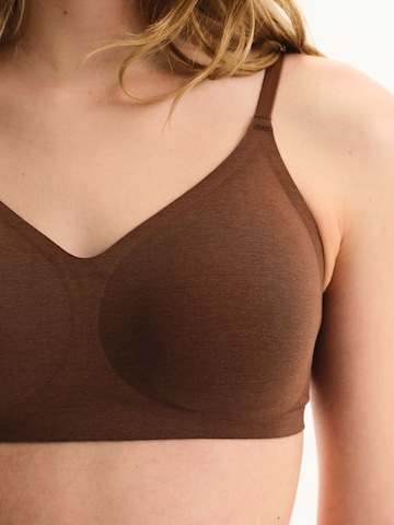 Bustier Soutien-gorge 'BHs & Bralettes' Penti en marron