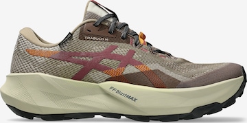 ASICS Sneakers 'Trabuco 14' in Grey: front