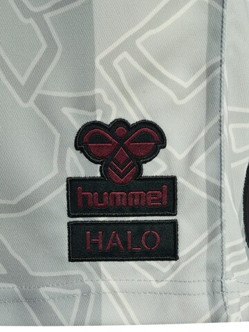 HALO Regular Broek in Grijs