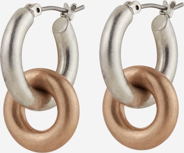 Boucles d'oreilles AllSaints en argent : devant