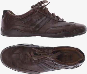 CLARKS Sneakers & Trainers in 40 in Brown: front