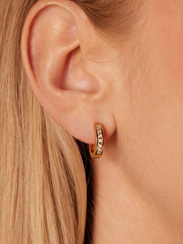 Lucardi Earrings in Gold: front