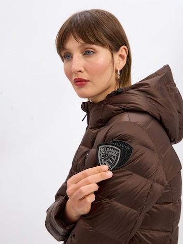 Blauer.USA Winter coat in Brown