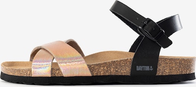 Bayton Sandale u lila / breskva / roza / crna, Pregled proizvoda