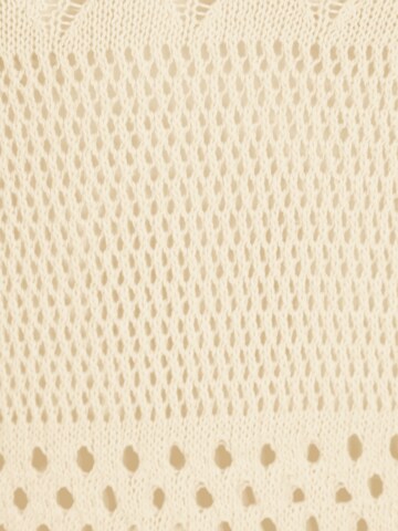 Pullover di Dorothy Perkins Tall in beige