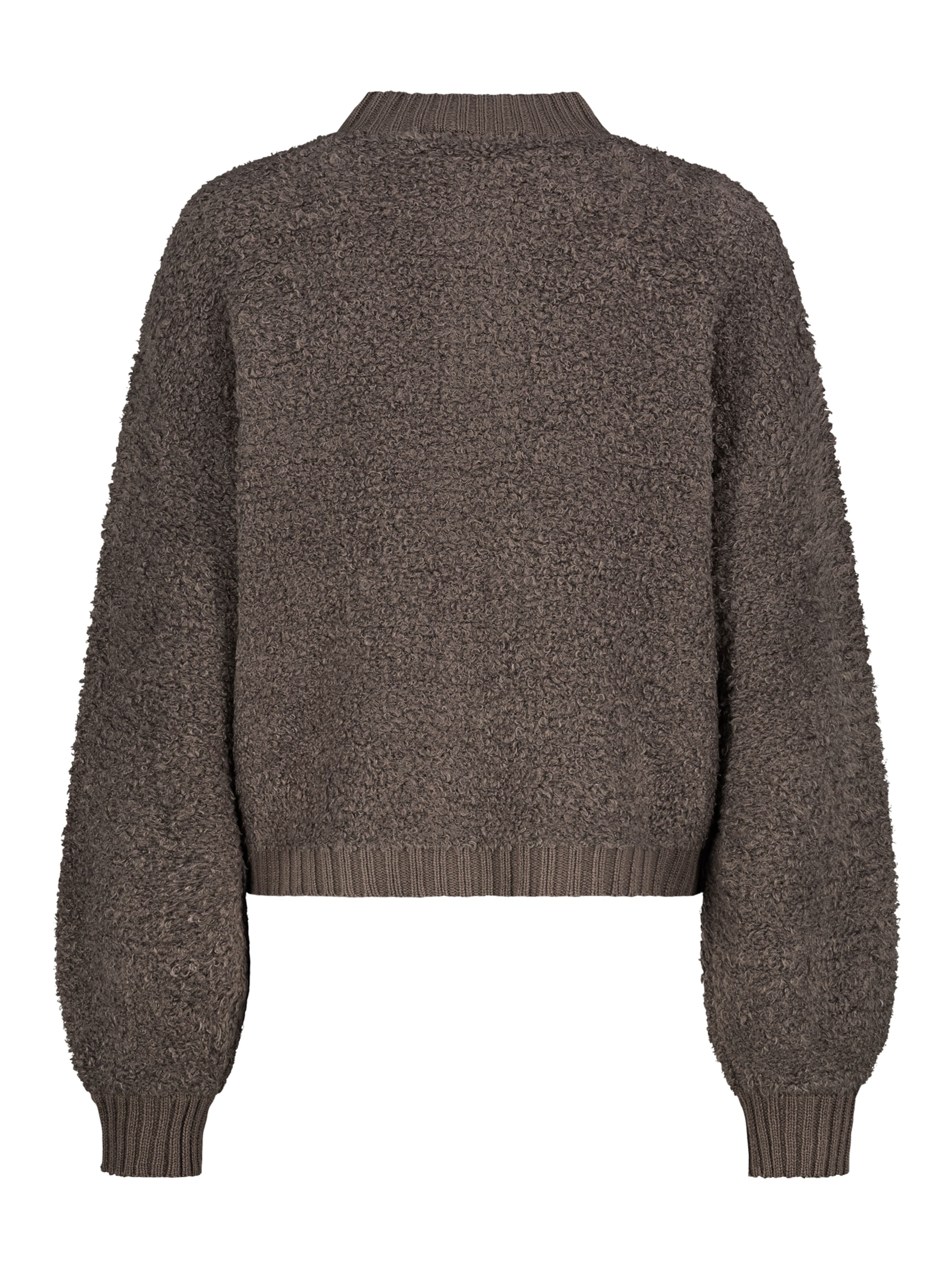 Sublevel Knit Cardigan in Brown