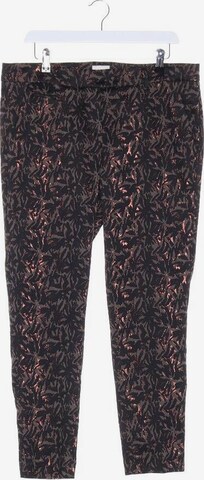 Seductive Pants in XXL in Mixed colors: front
