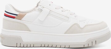 TOMMY HILFIGER Sneaker in Beige